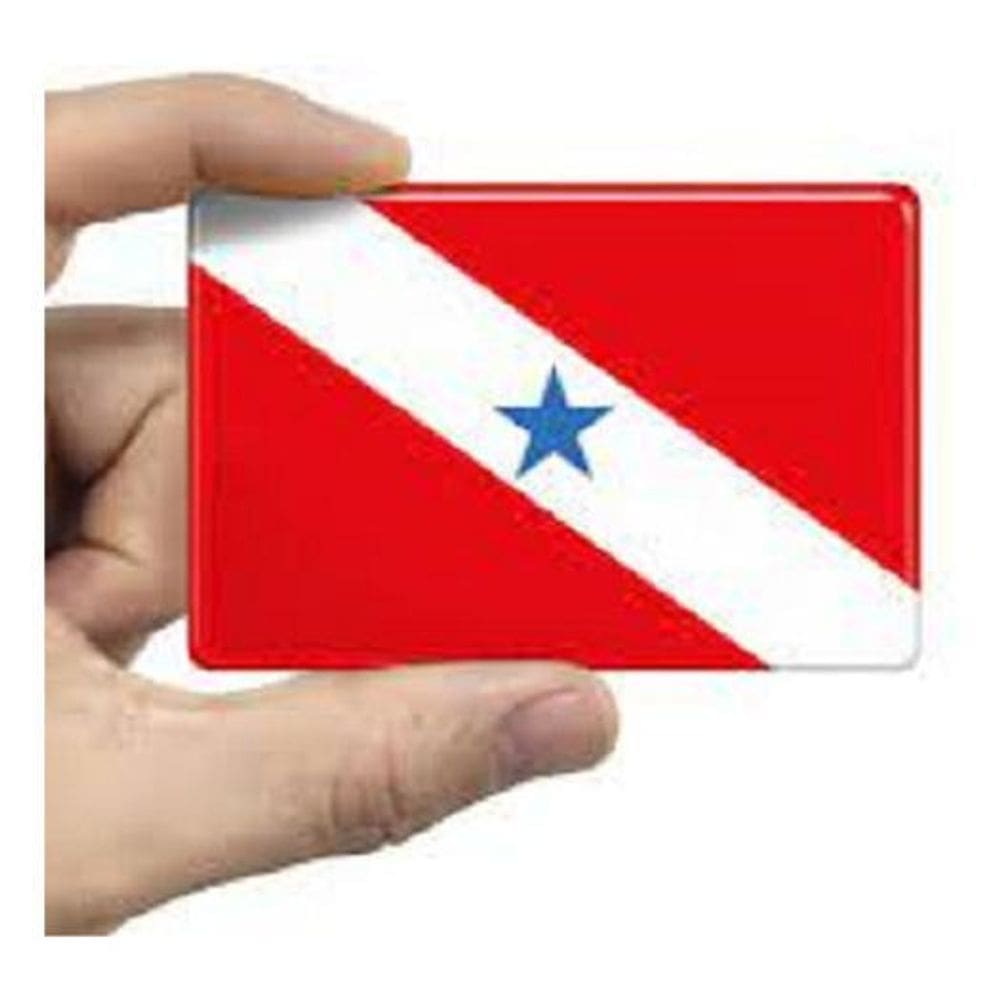 Adesivo Bandeira Para Resinado 4X6Cm Bd31