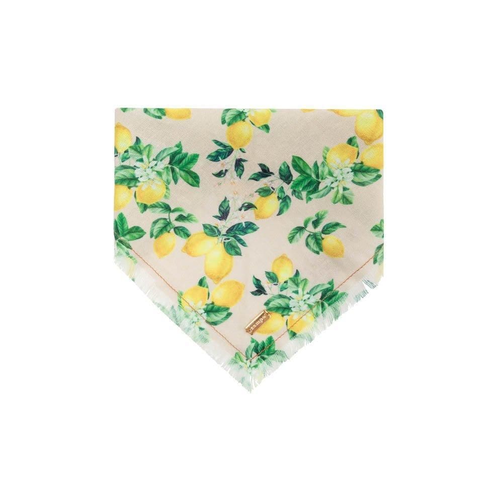 Bandana Limone - Bege - M