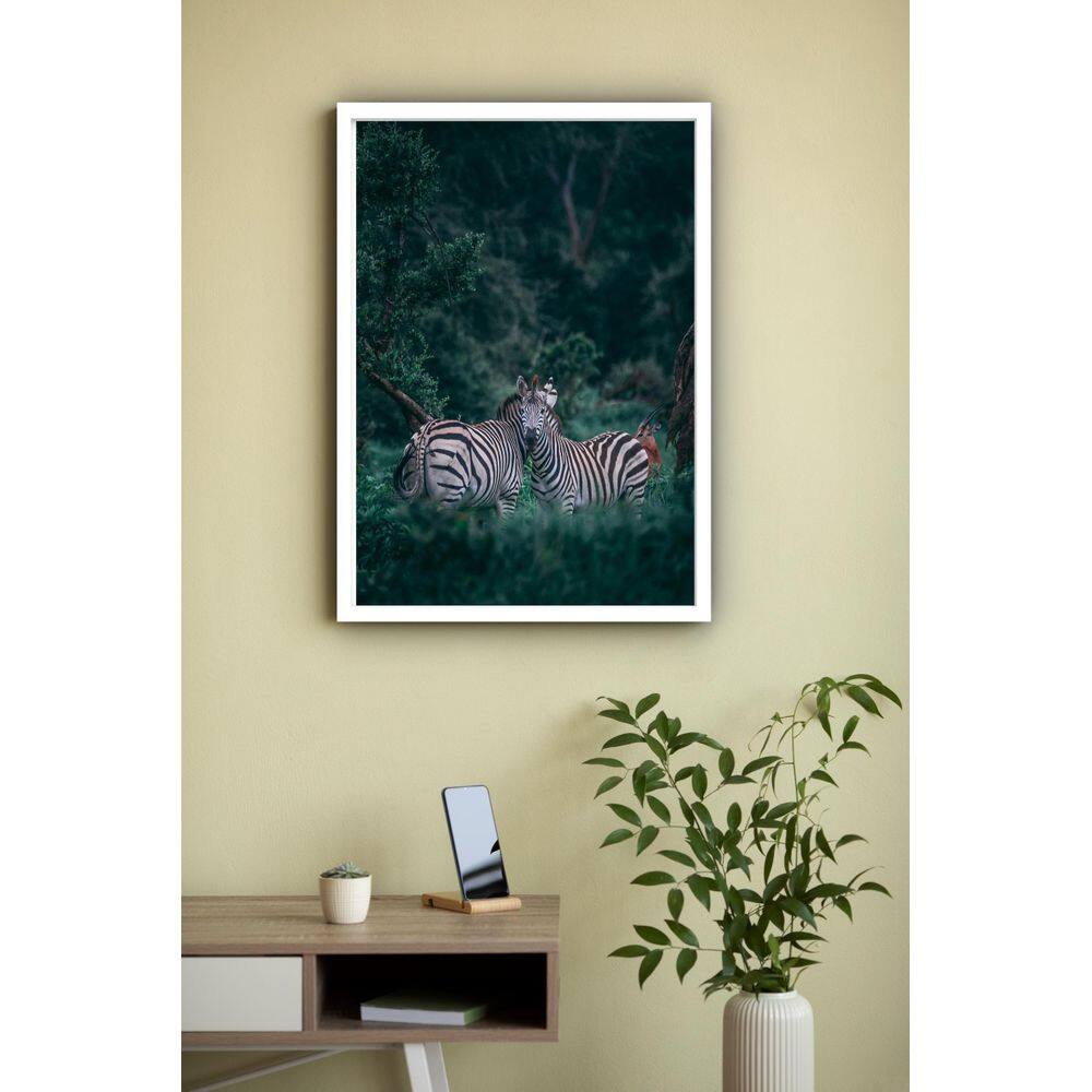 Quadro Decorativo Fotografia Casal Zebras Floresta -70X50Cm
