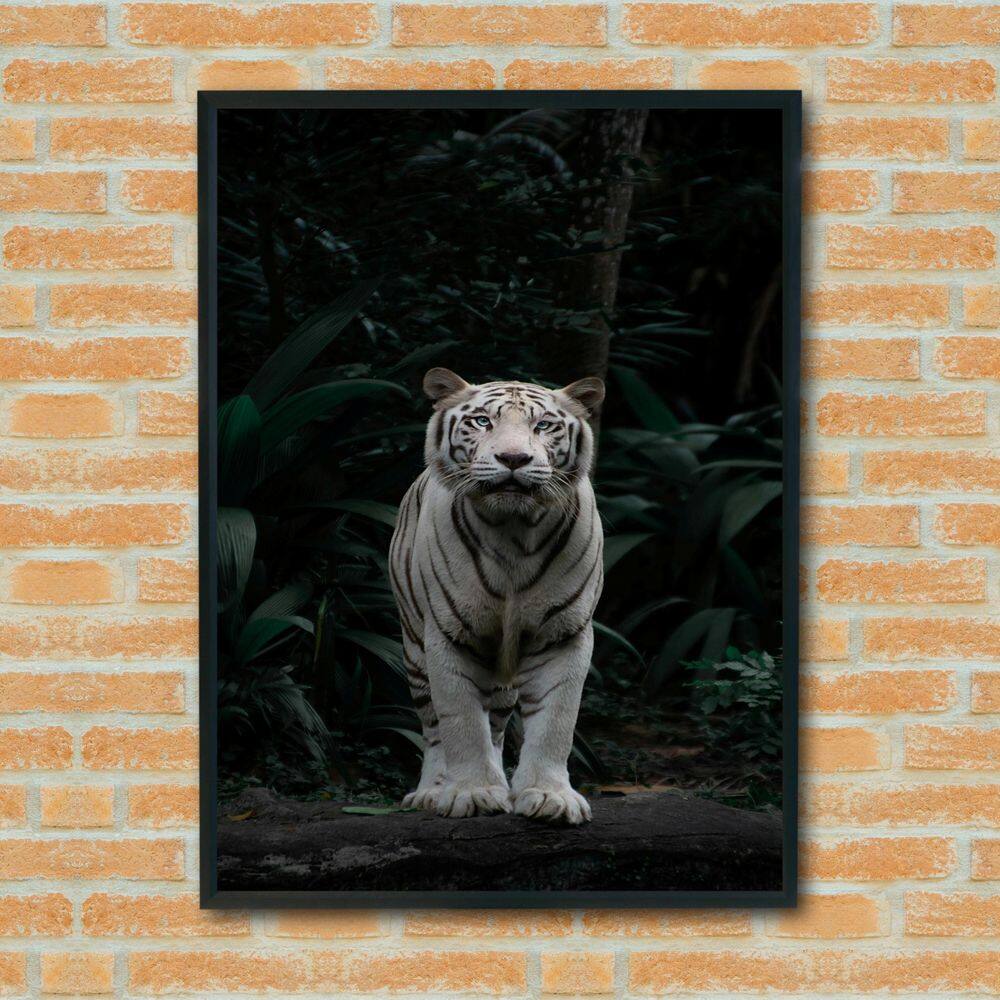 Quadro Decorativo Fotografia Tigre Branco - 70X50Cm