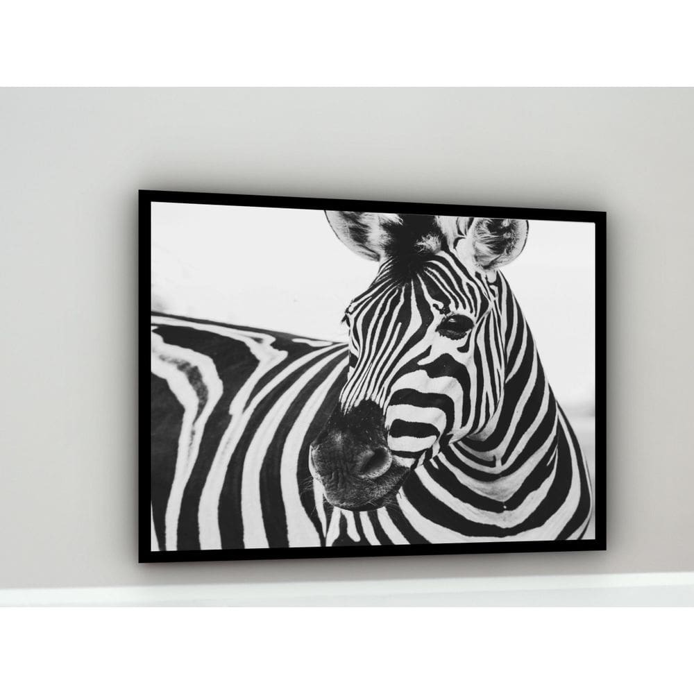Quadro Decorativo Fotografia Zebra Preto E Branco - 70X50Cm