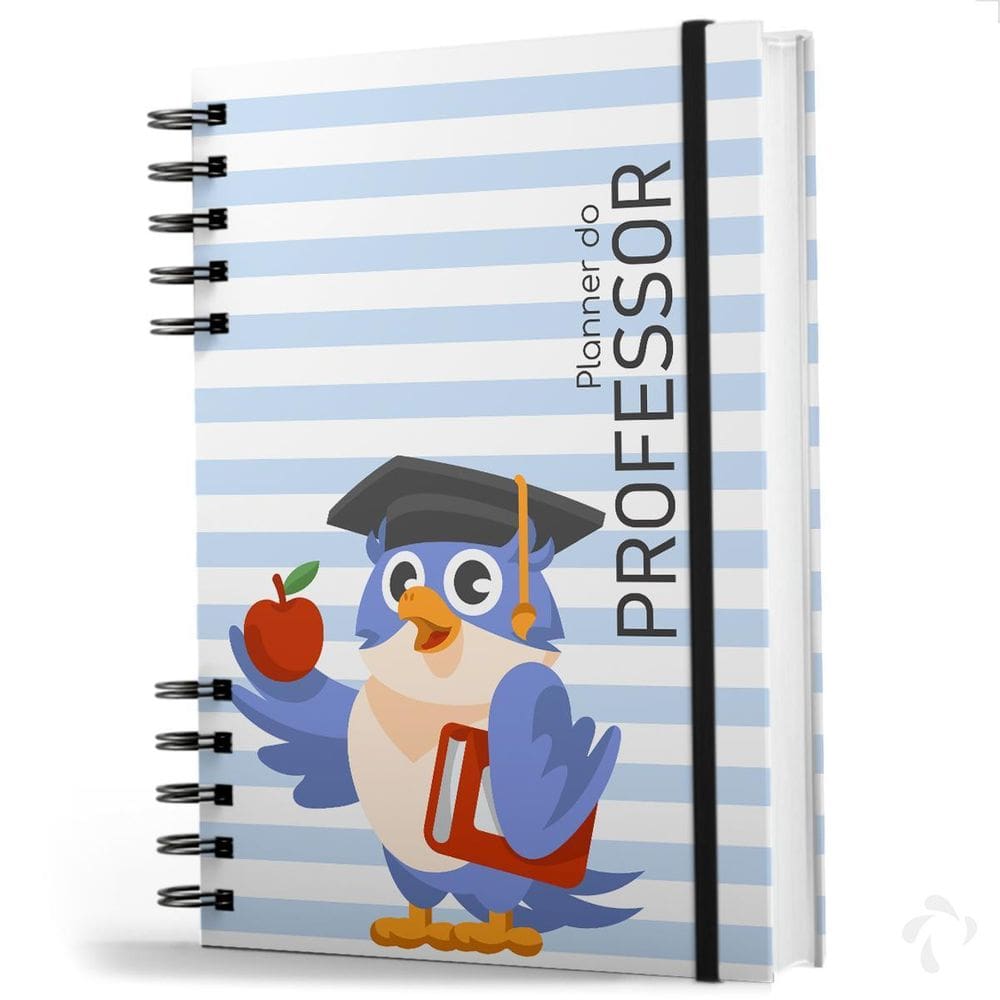 Agenda Planner Do Professor Planejamento Completo Capa Dura