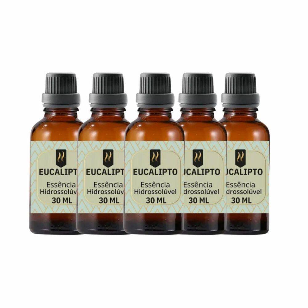 Super Kit 5 Essências A Base Água Hidrossolúvel 30Ml Difusor