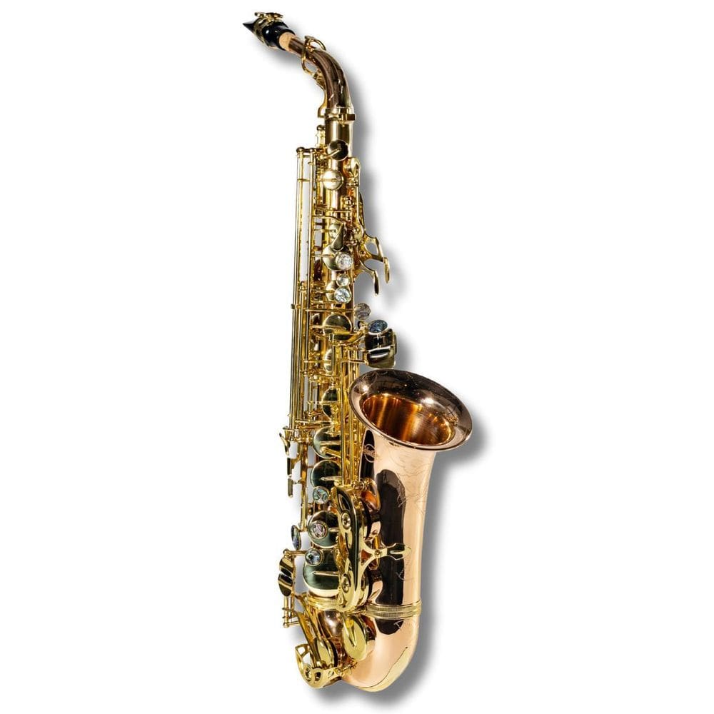 Saxofone Alto Eb Banho Ouro 12K Chave Laqueado Qsn Sebastian