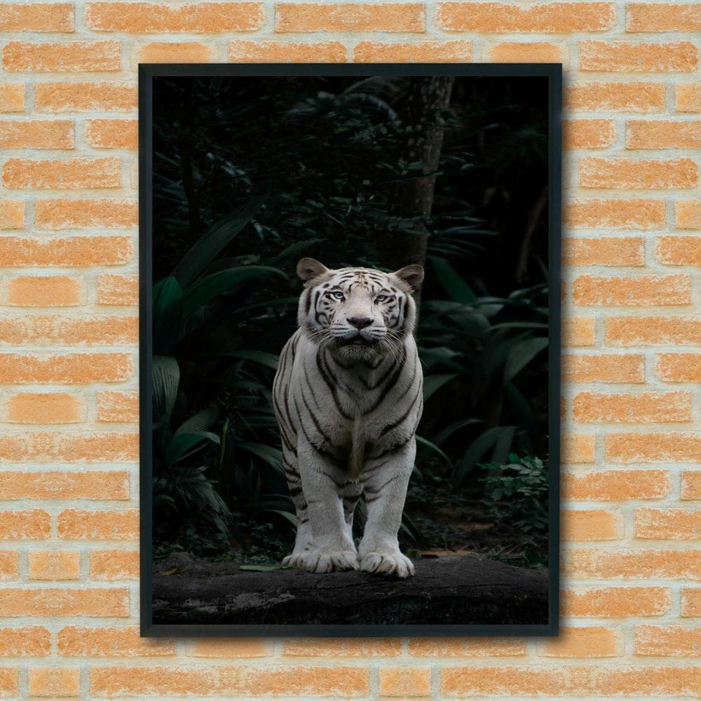 Quadro Decorativo Fotografia Tigre Branco - 70X50Cm