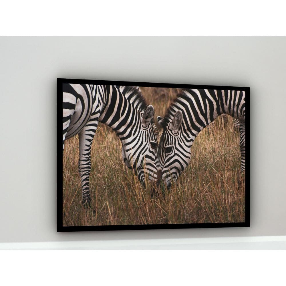 Quadro Decorativo Fotografia Zebras Pasto - 70X50Cm