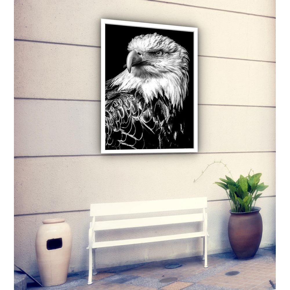 Quadro Decorativo Fotografia Perfil Águia P&B - 70X50Cm