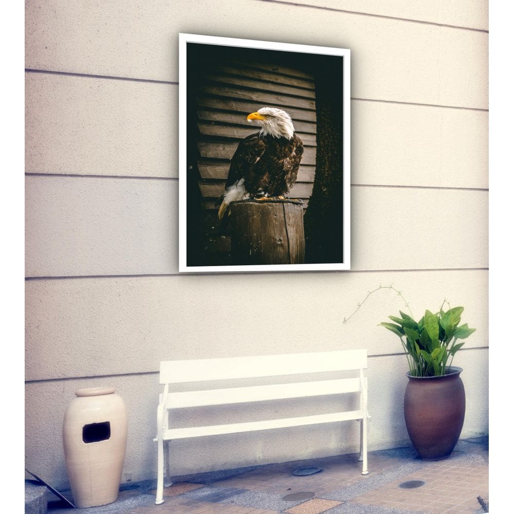 Quadro Decorativo Fotografia Águia Tronco - 70X50Cm