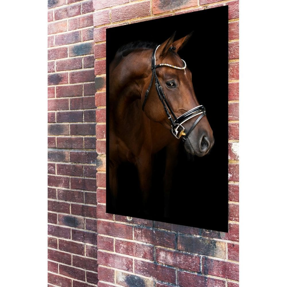 Quadro Decorativo Fotografia Cavalo Perfil - 70X50Cm
