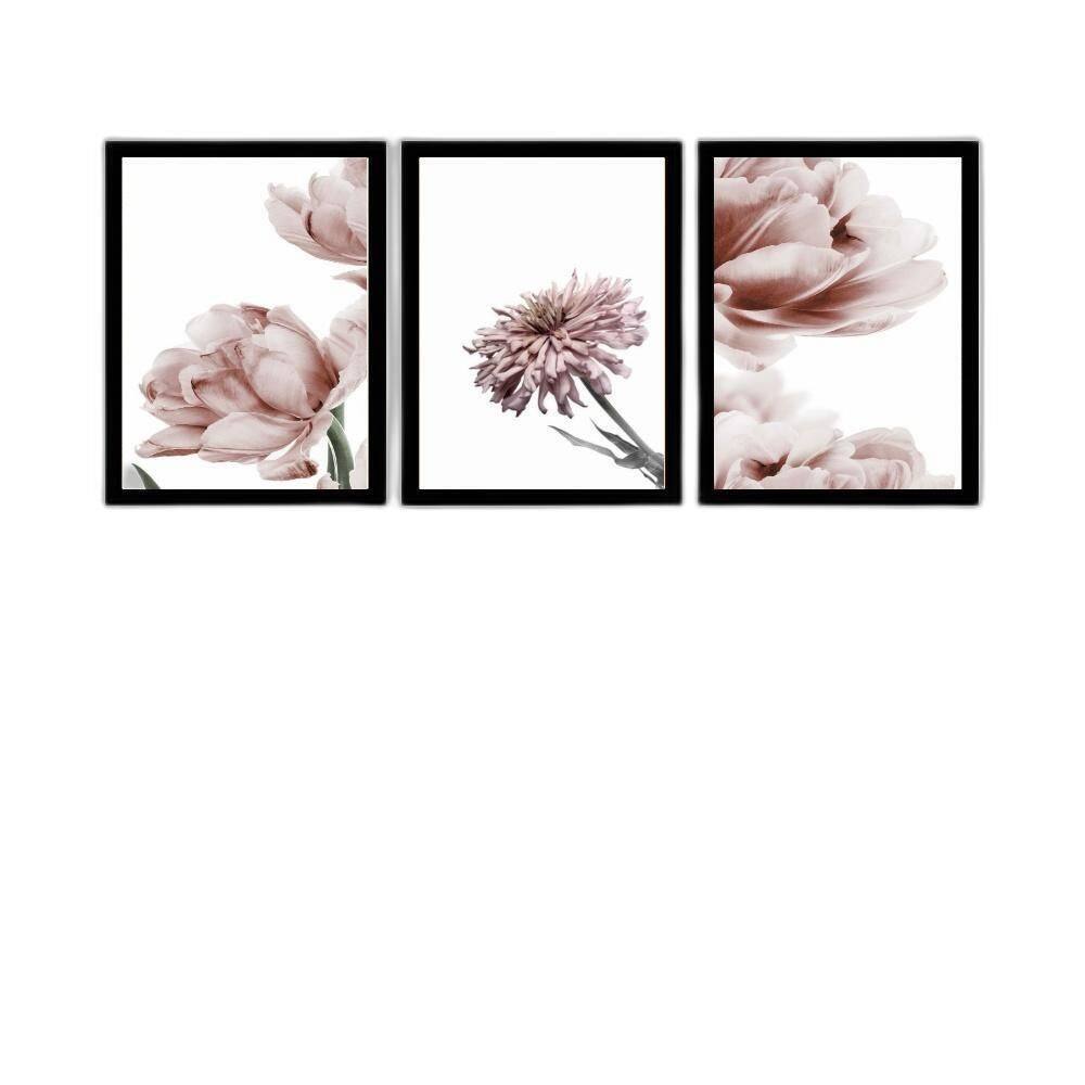 Kit 3 Quadros Fotografias Modernas Flores Rosê 33X24Cm
