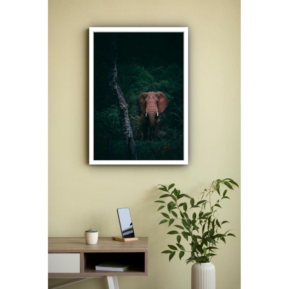 Quadro Decorativo Fotografia Elefante Floresta - 70X50Cm