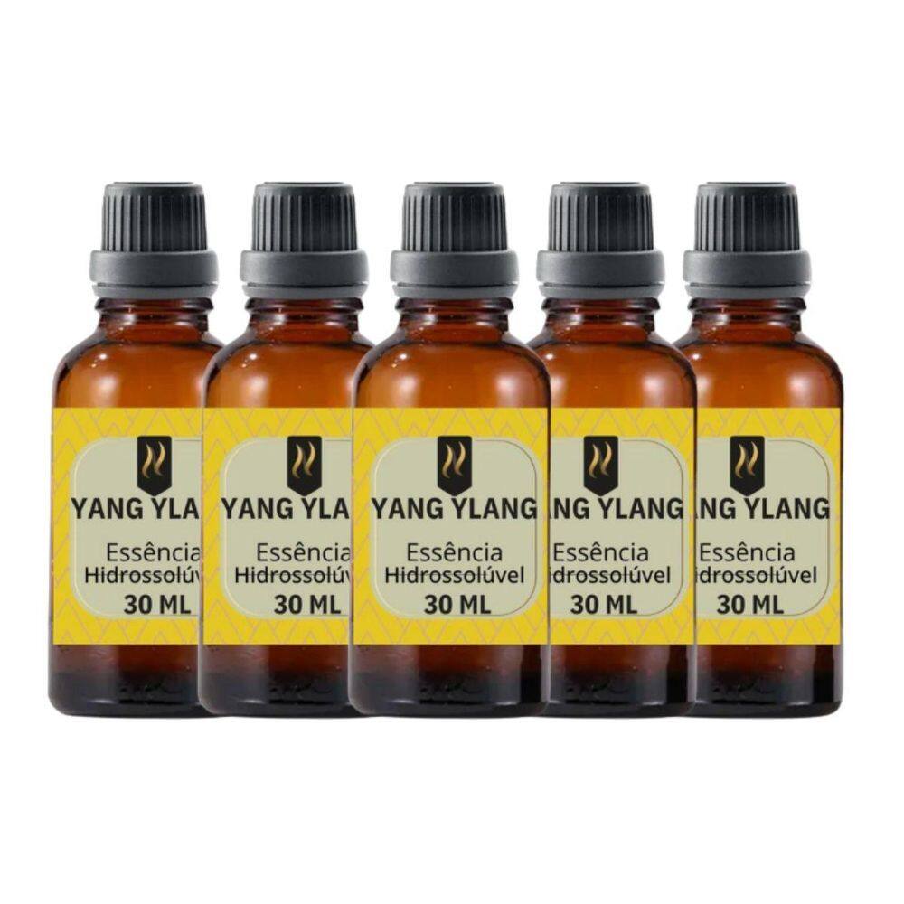 Super Kit 5 Essências A Base Água Hidrossolúvel 30Ml Difusor