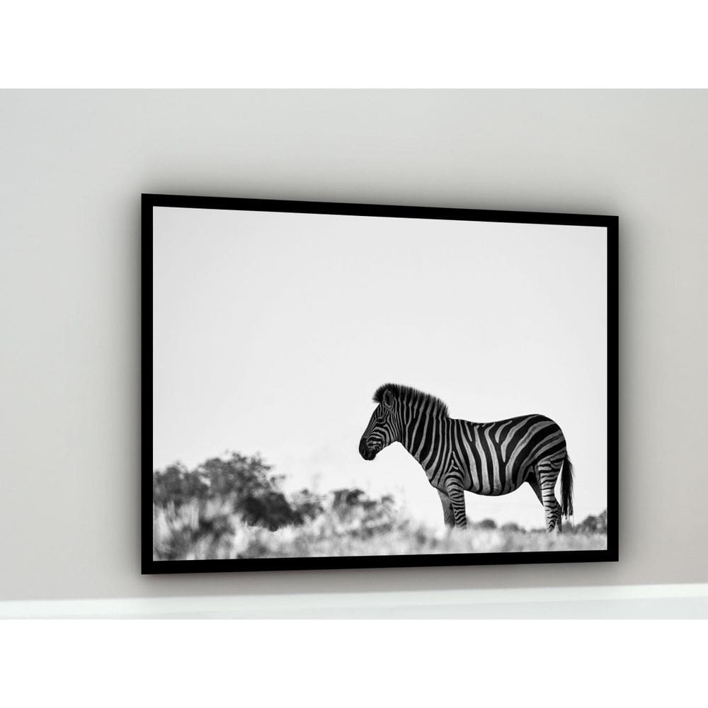 Quadro Decorativo Fotografia Zebra Branco E Preto - 70X50Cm