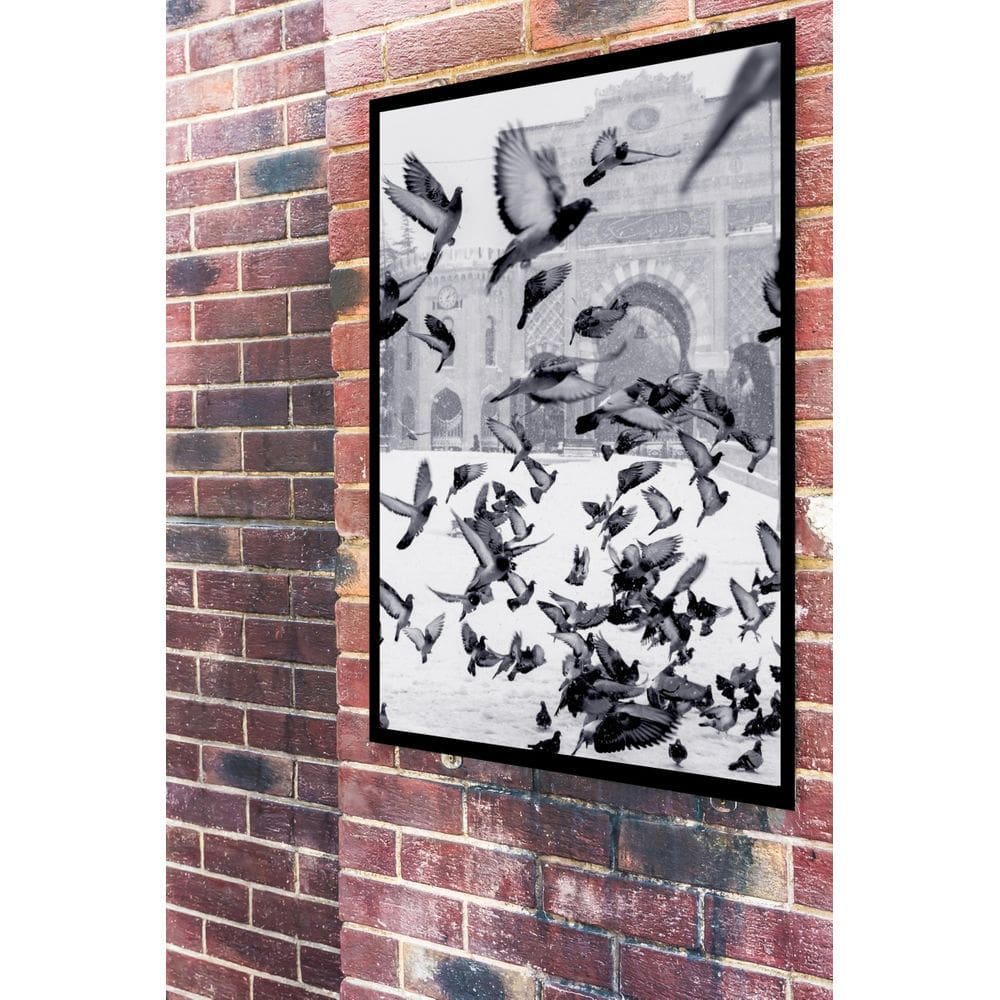 Quadro Decorativo Fotografia Pombos - 70X50Cm