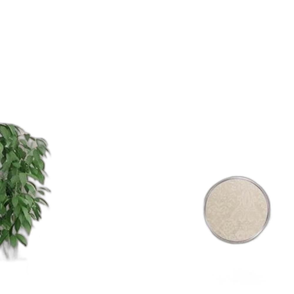 Cortina Renda com Forro 3,50x2,20 Cor Marfin