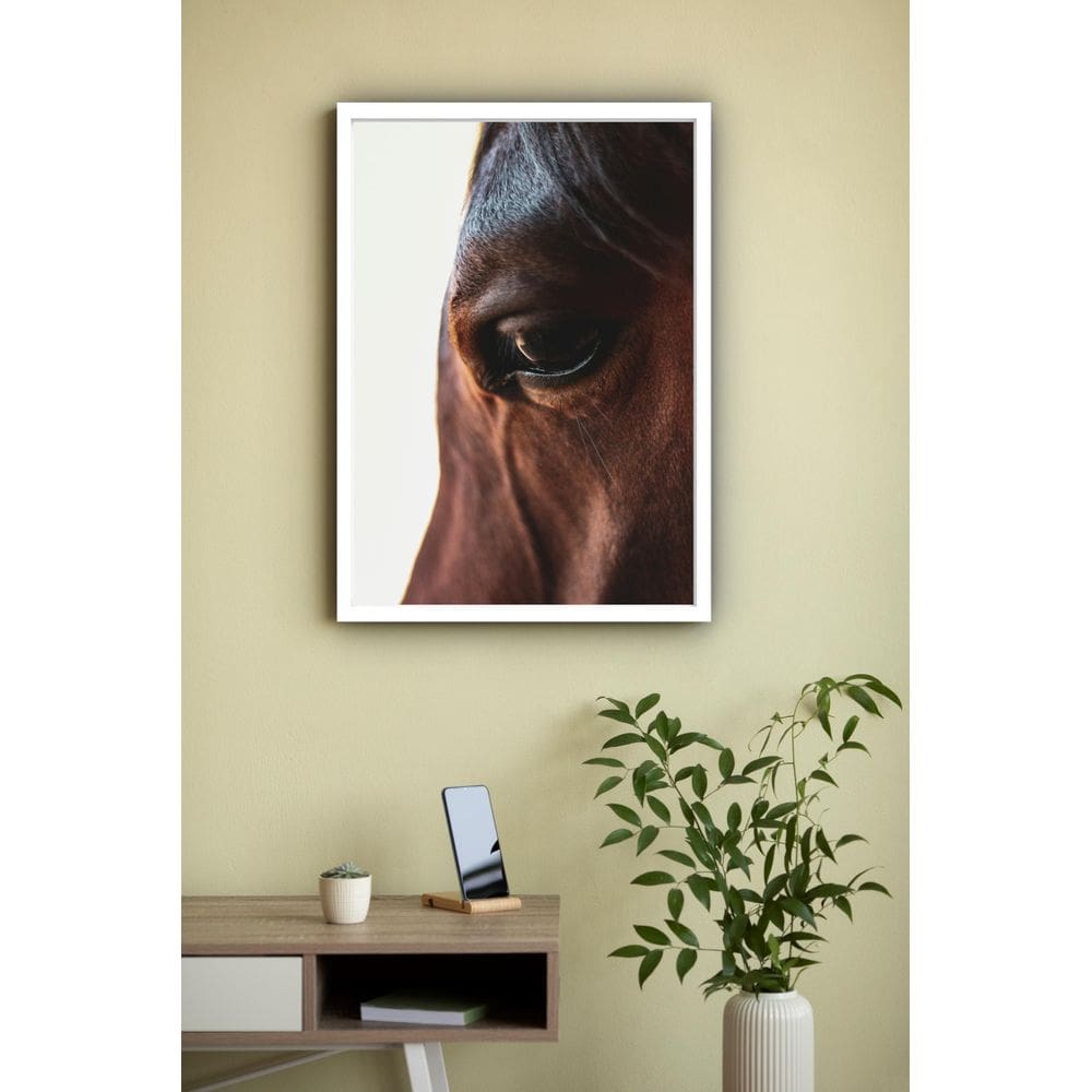 Quadro Decorativo Fotografia Olho Cavalo - 70X50Cm
