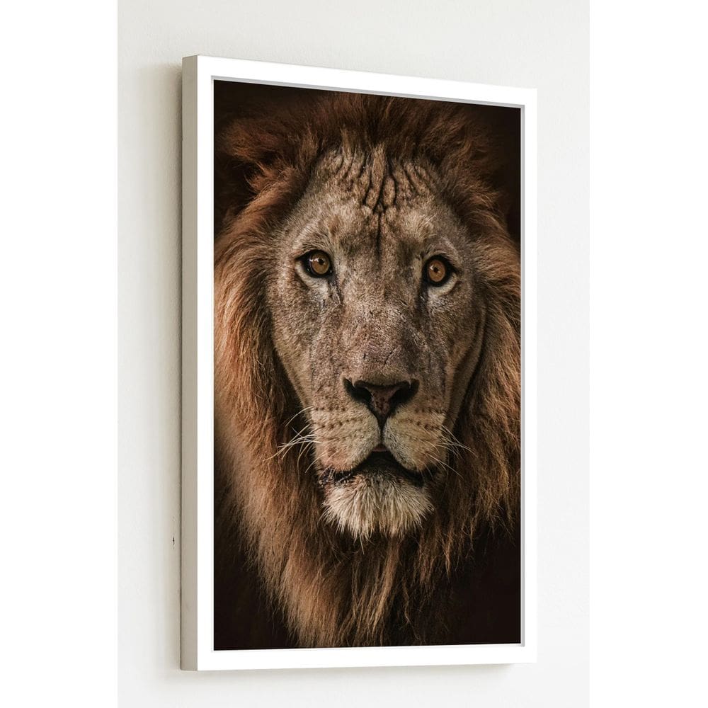 Quadro Decorativo Fotografia Leão - 70X50Cm