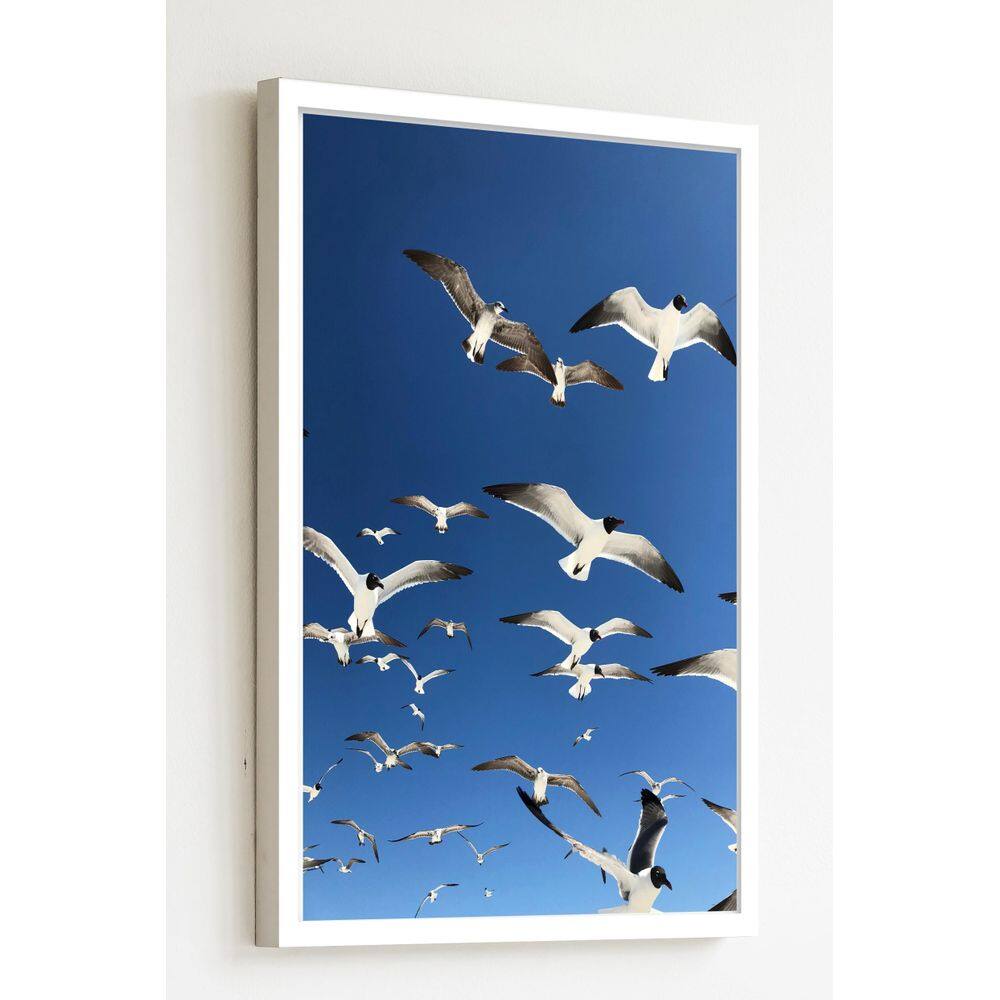 MP - Quadro Decorativo Fotografia Gaivotas