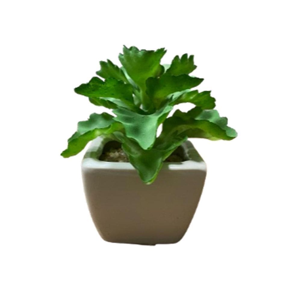 Suculentas Artificiais em Vaso Cerâmica - 5cm - Charmosas