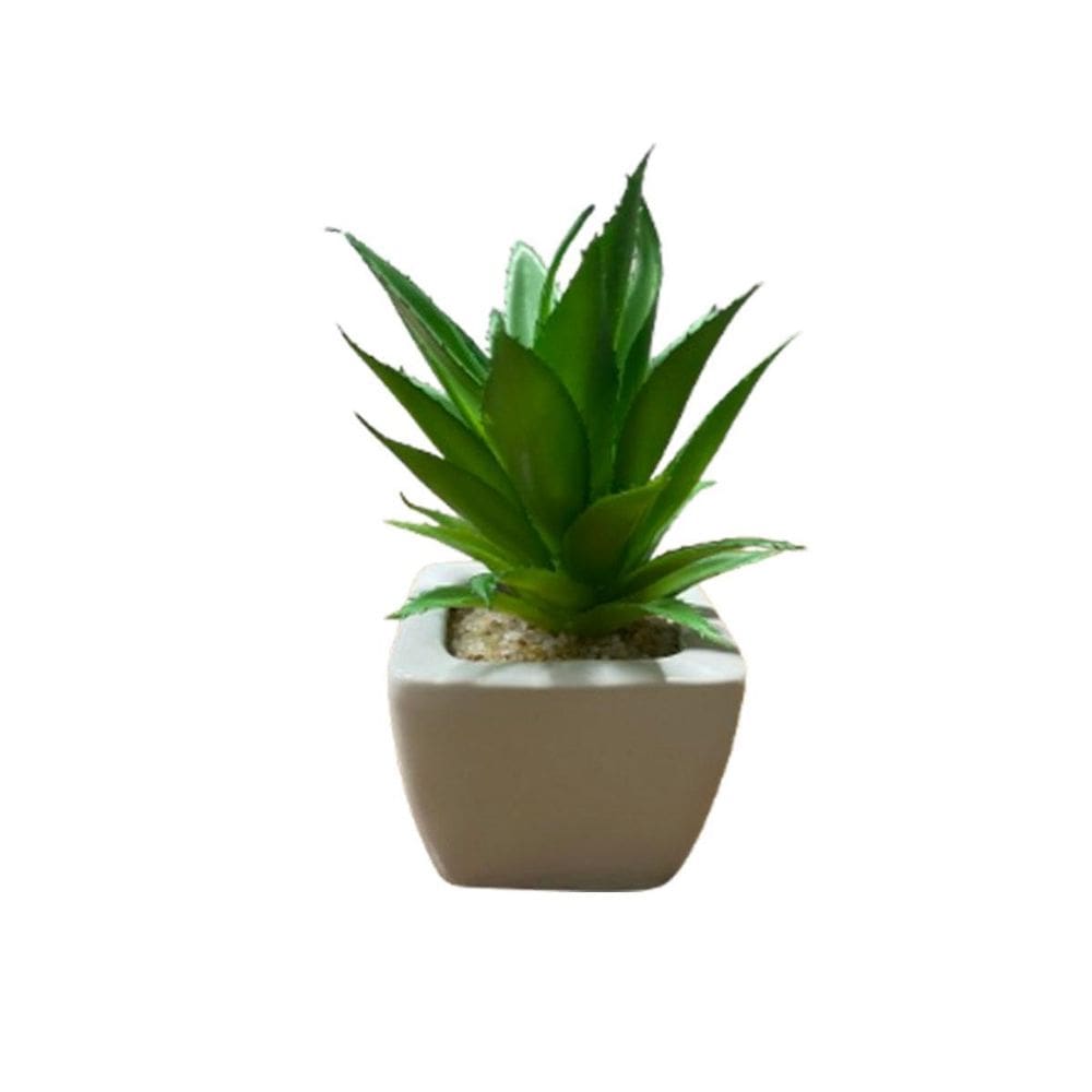 Suculentas Artificiais Vaso Cerâmica Branco -