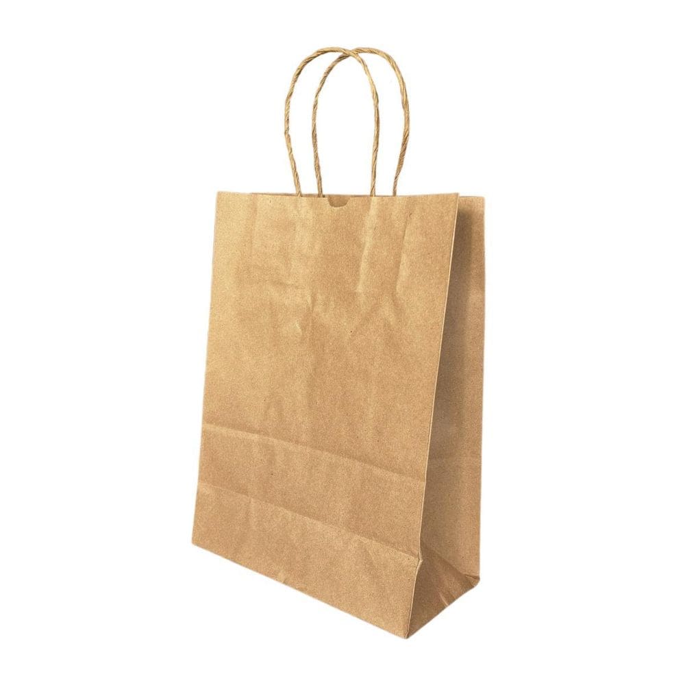 Kit 10 Sacola De Papel Kraft Natural Embalagem 18X09X24Cm