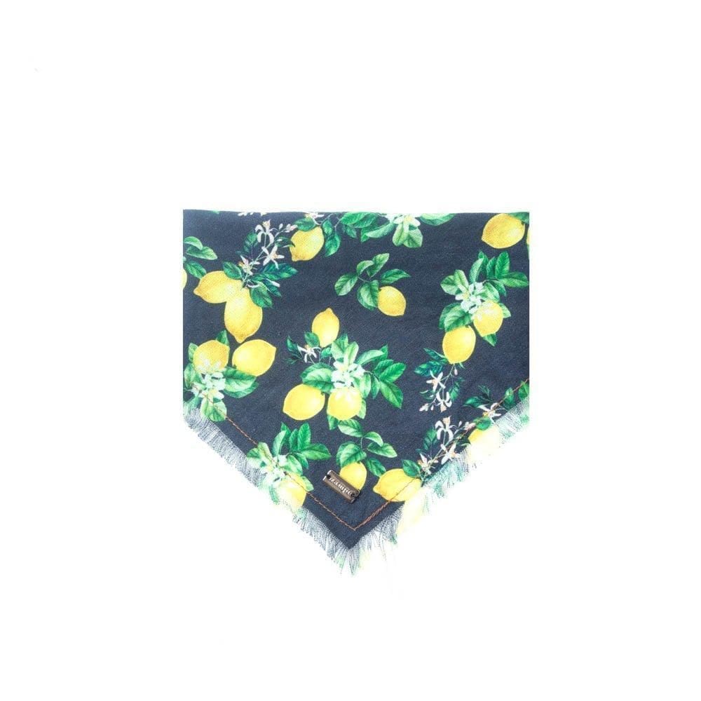 Bandana Limone - Azul - G