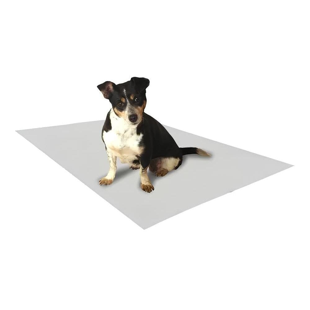 Papel Strong Pipidog Hd Absorve Bem 50X60Cm Cortado 100Un