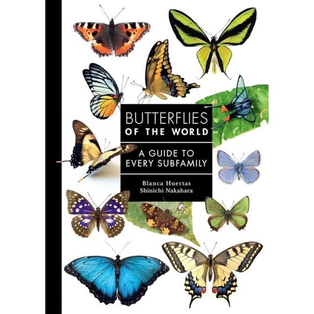 Butterflies Of The World