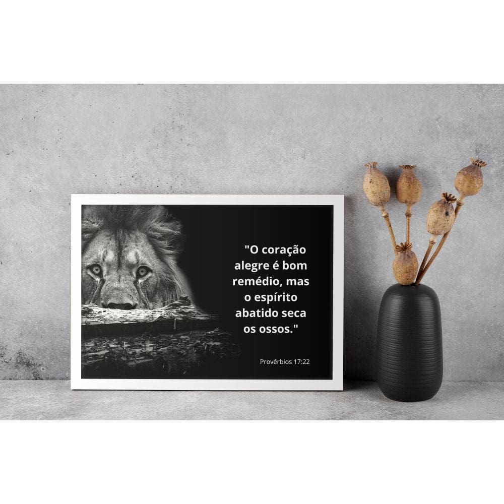 Provérbios 17:22 - 30 x 40 Caixa (vinil)