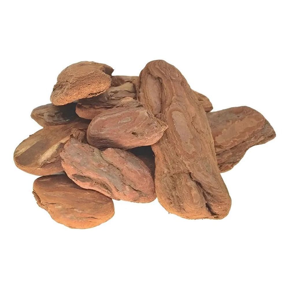 2X Casca De Pinus Média Polida N 1 Natural Ecologica 10 Lit