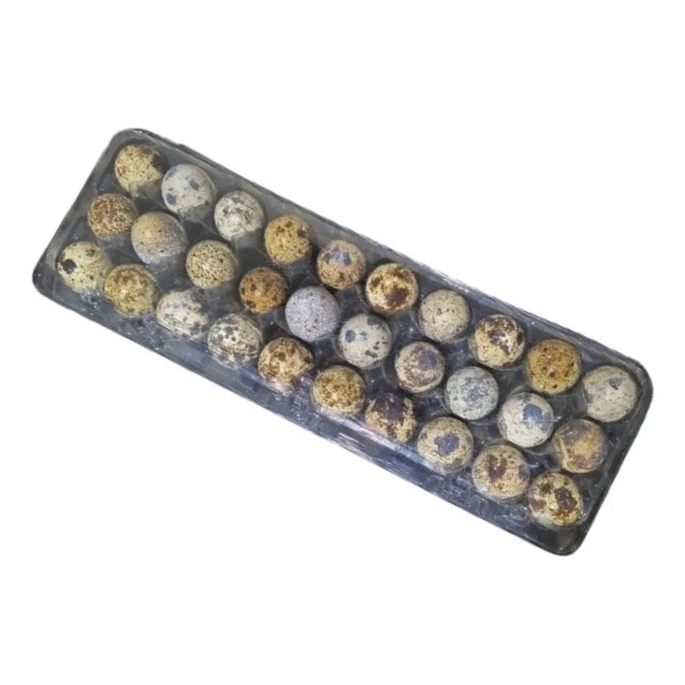 2X Caixa Para 30 Ovos De Codorna 100 Unidades