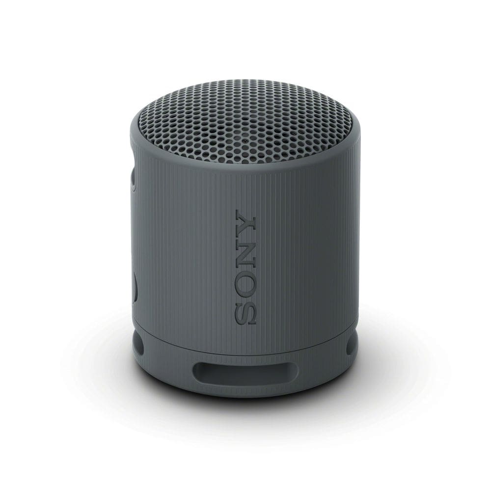 Alto-falante Sony SRS-XB100 sem fio Bluetooth à prova d`água preto