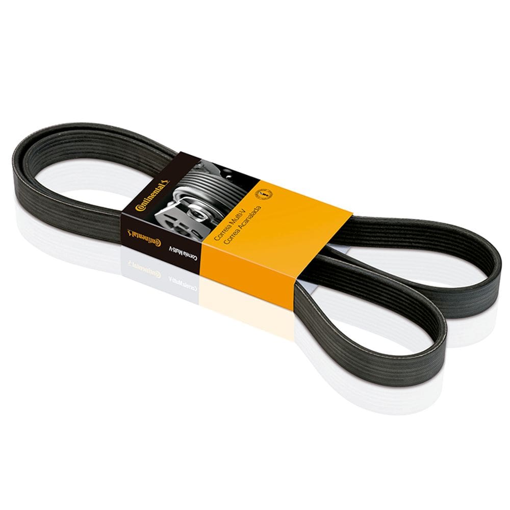 Correia Poly V / Multi V 145 / 146 / 155 / 156 / A3 / A4 / RS4 / S3 / TTS / Courier / Prelude / Daily / Camry / Passat