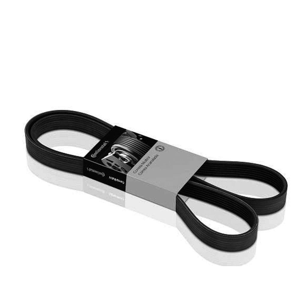 Correia Poly V / Multi V Elastica Ecosport New Fiesta 1.6 16v  2011 ... 2016 Sigma