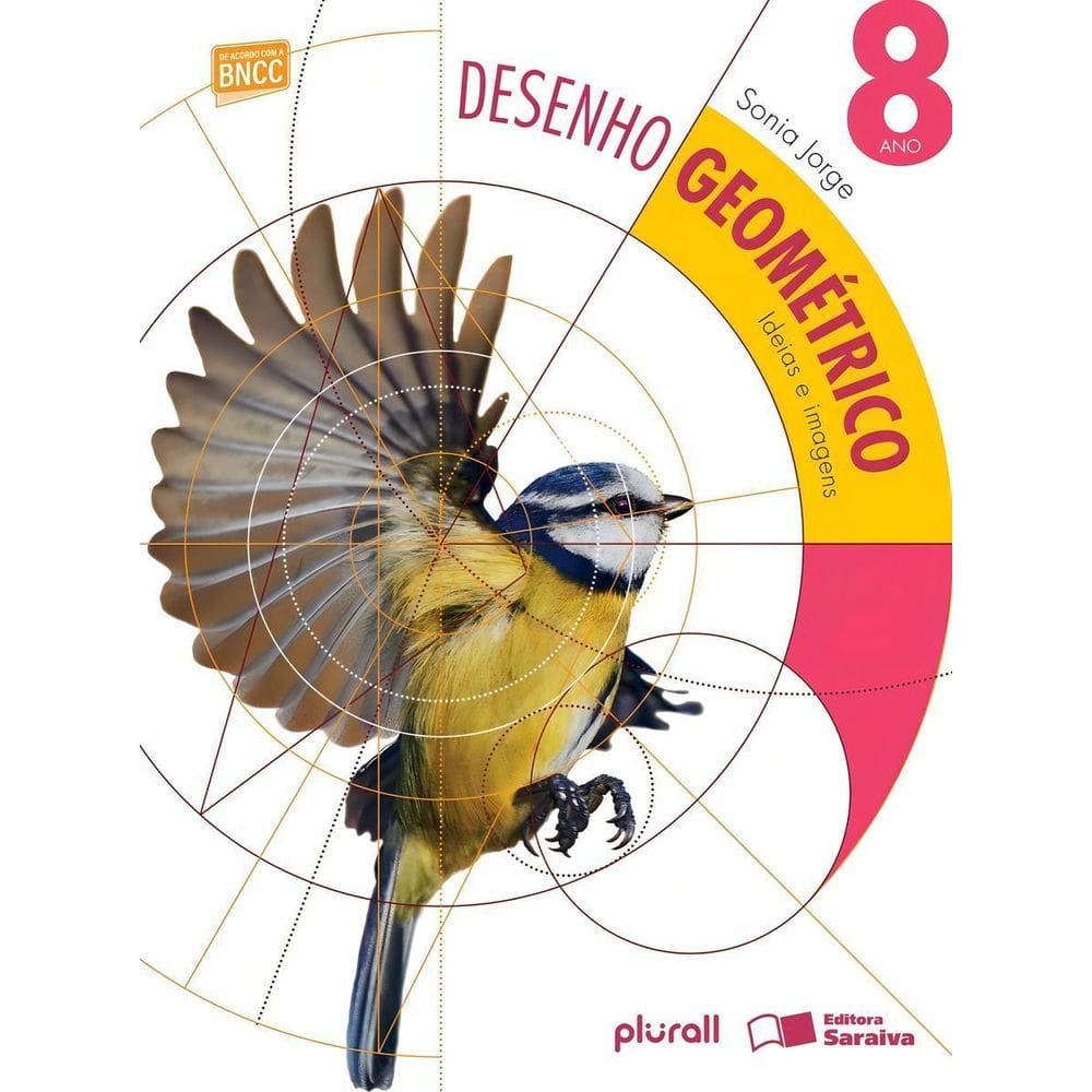 Desenho Geometrico: Ideias e Imagens  8 Ano - 0