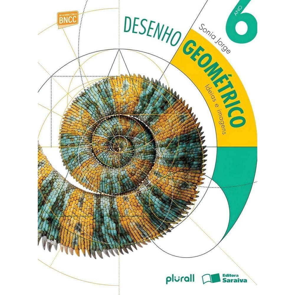 Desenho Geometrico: Ideias e Imagens 6 Ano - 06