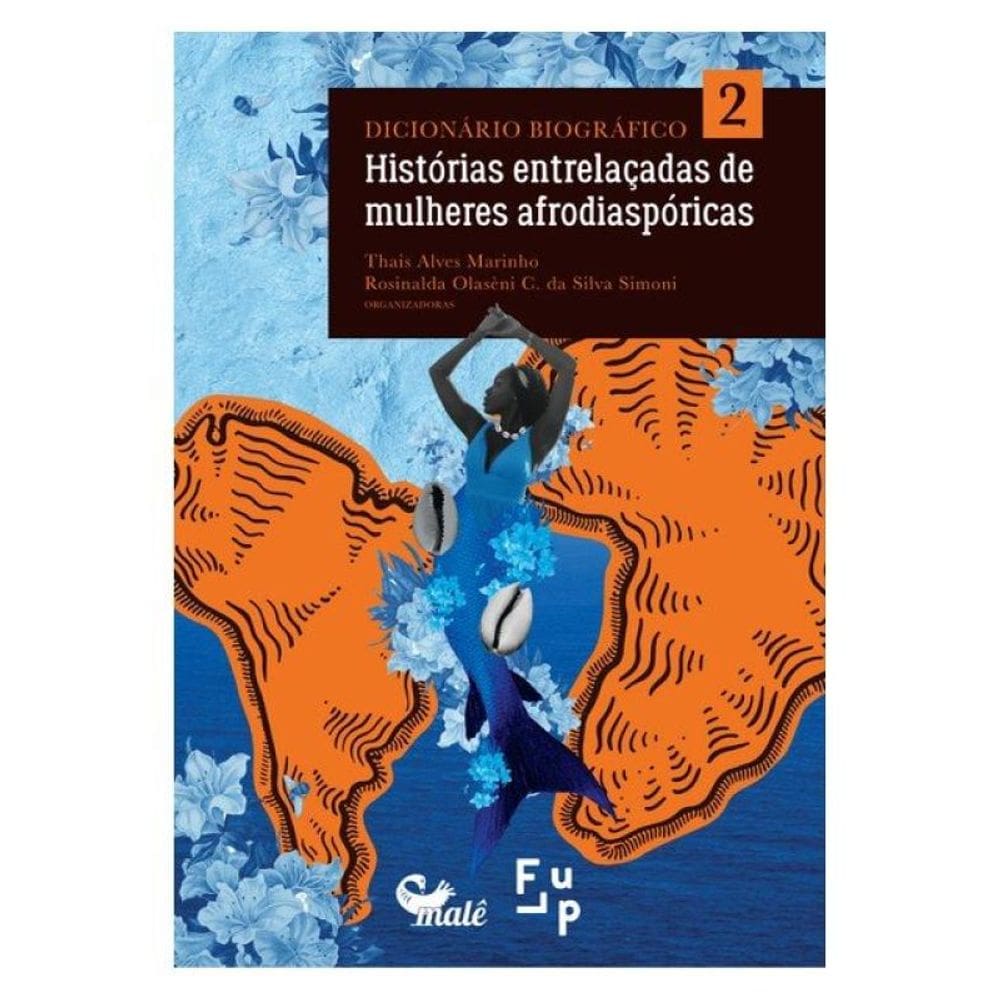 Dicionário Biográfico Histórias Entrelaçadas De Mulheres Afrodiaspóricas Vol. 2