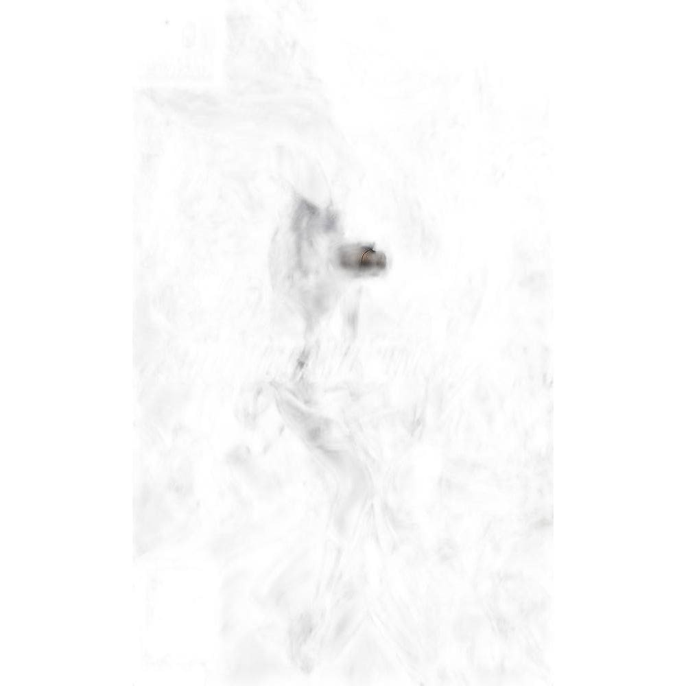 Shin Megami Tensei V - Switch