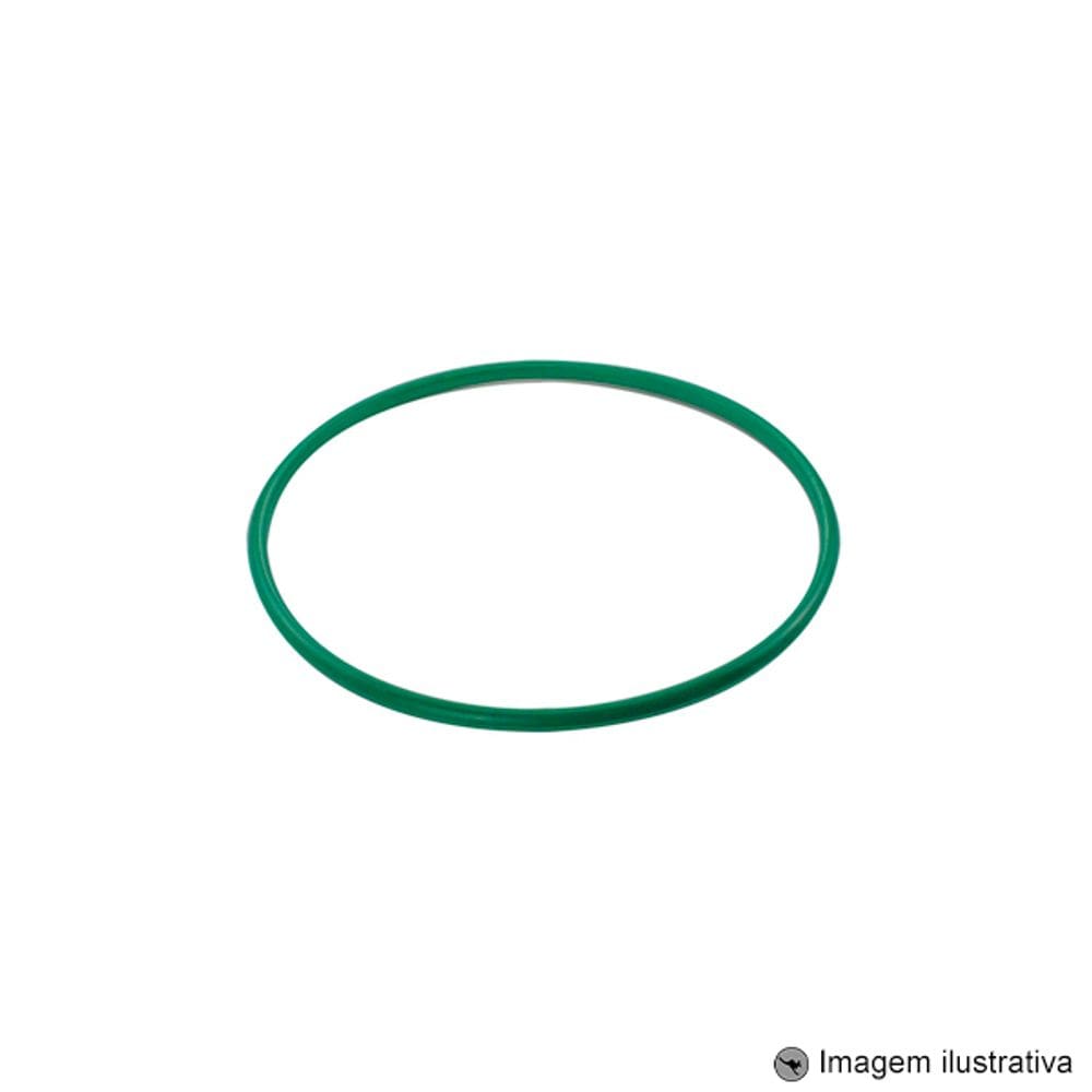 Guarnição Módulo Combustível Sandero 1.4 4C 8V 08 ... / Logan 1.2 4C 16V 04 ...