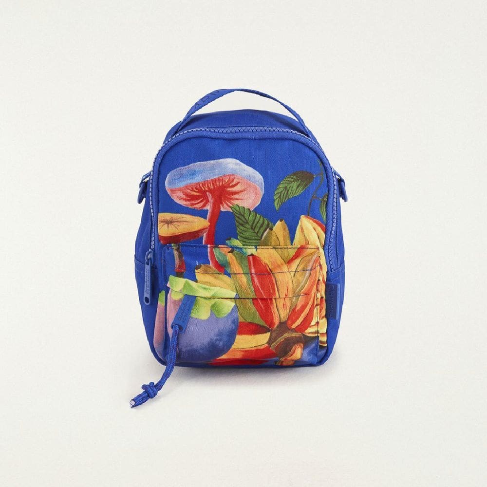 Mini Mochila Farm Borogodó Arco-Íris Da Terra