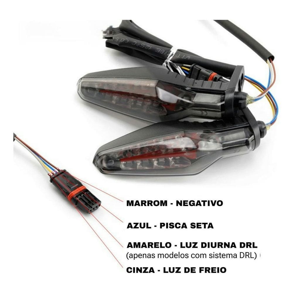 Seta Com Luz Diurna Drl Bmw R1250 Gs Premium 23/24