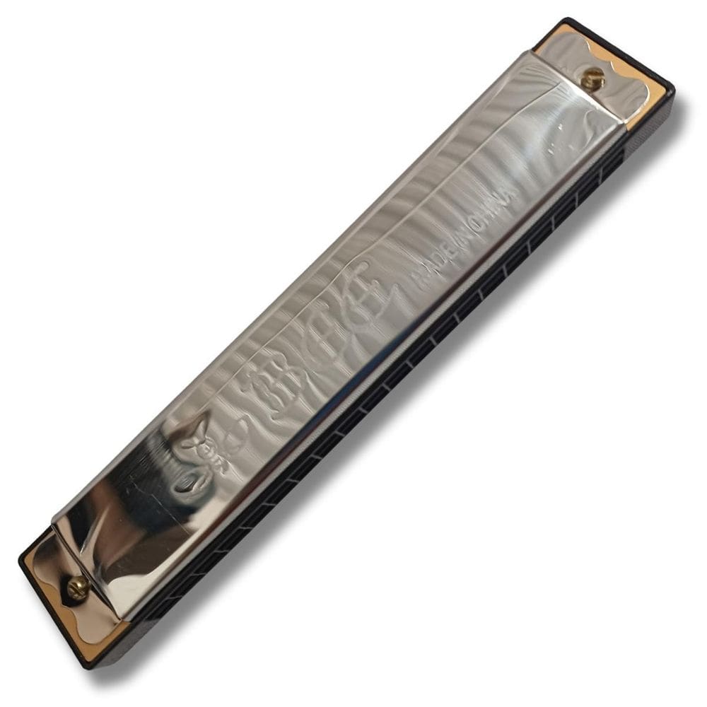 Gaita Bee Harmonica 80 Vozes 20 Furos Cromada Em Dó Maior C