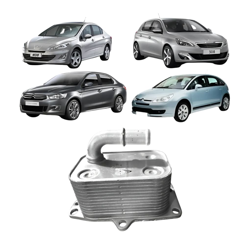 Radiador Resfriador Óleo Motor Peugeot 306 307 407 F02P103