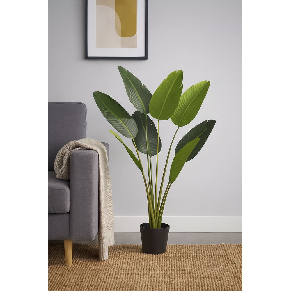 Bananeira de Jardim x8 Verde Árvore Permanente 1,2m com Pote