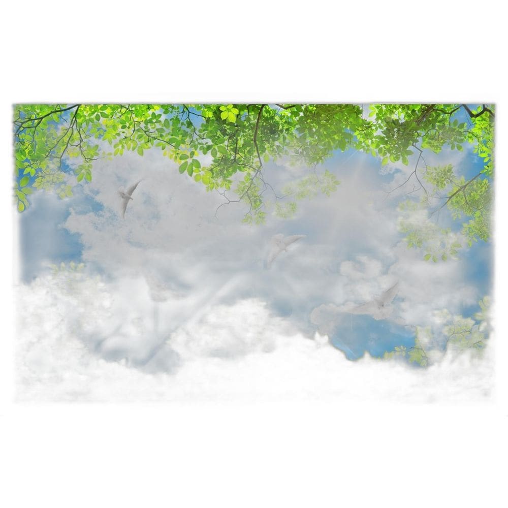 Papel De Teto Céu Azul Nuvens Flores Pombas 3,5M Rof39