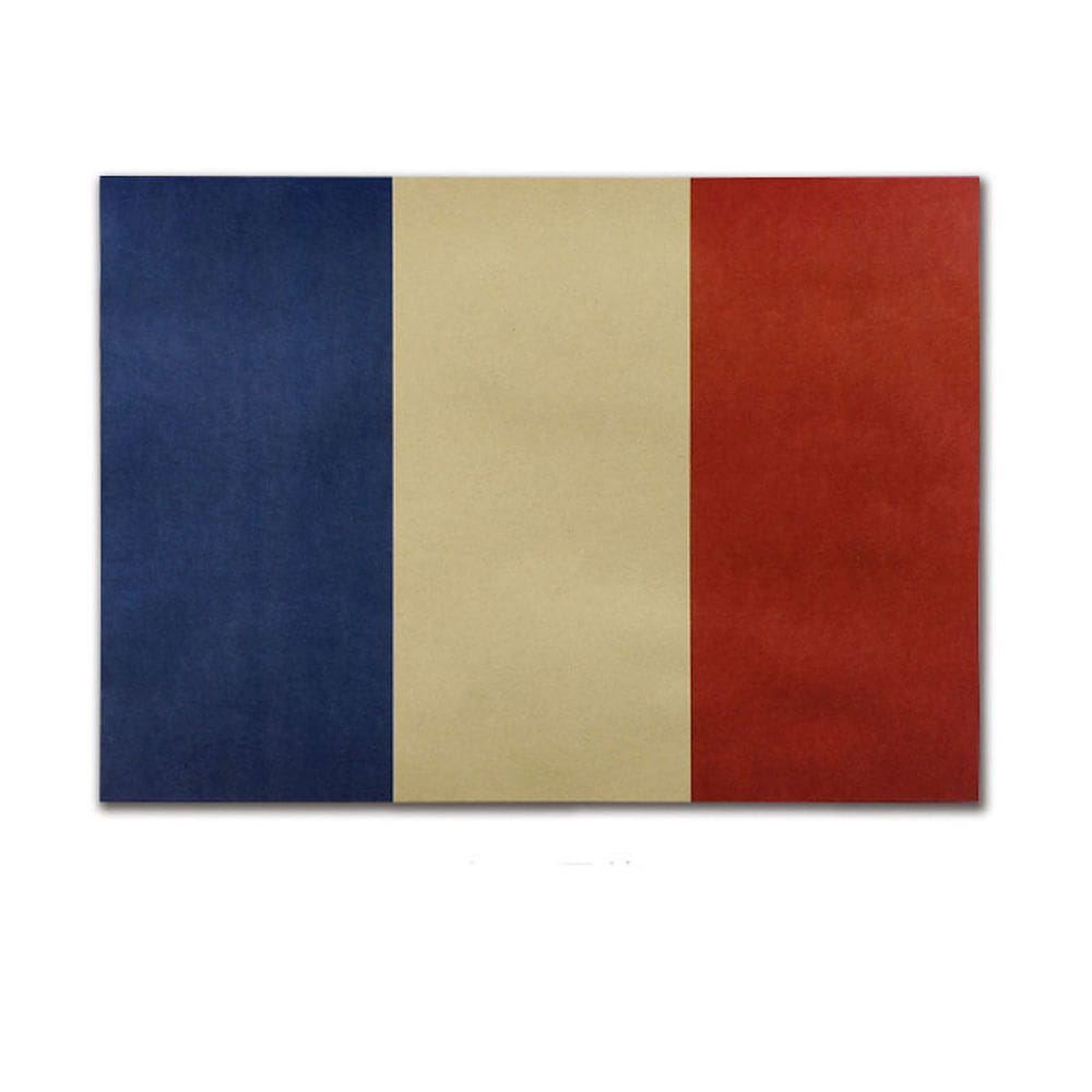 Pôster, pintura de parede, bandeira francesa, arte de anime, 51,5x36cm