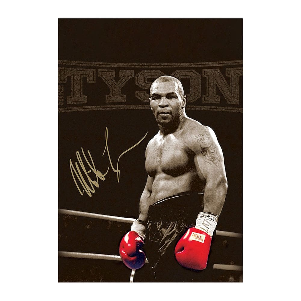 Pôster de pintura de parede em tela Tysons Anime 40x60cm