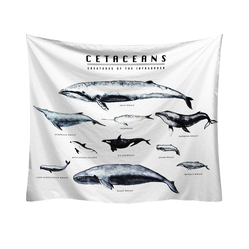 Tapeçaria Cerceans Wall Room Aesthetic 150x130cm Microtecido