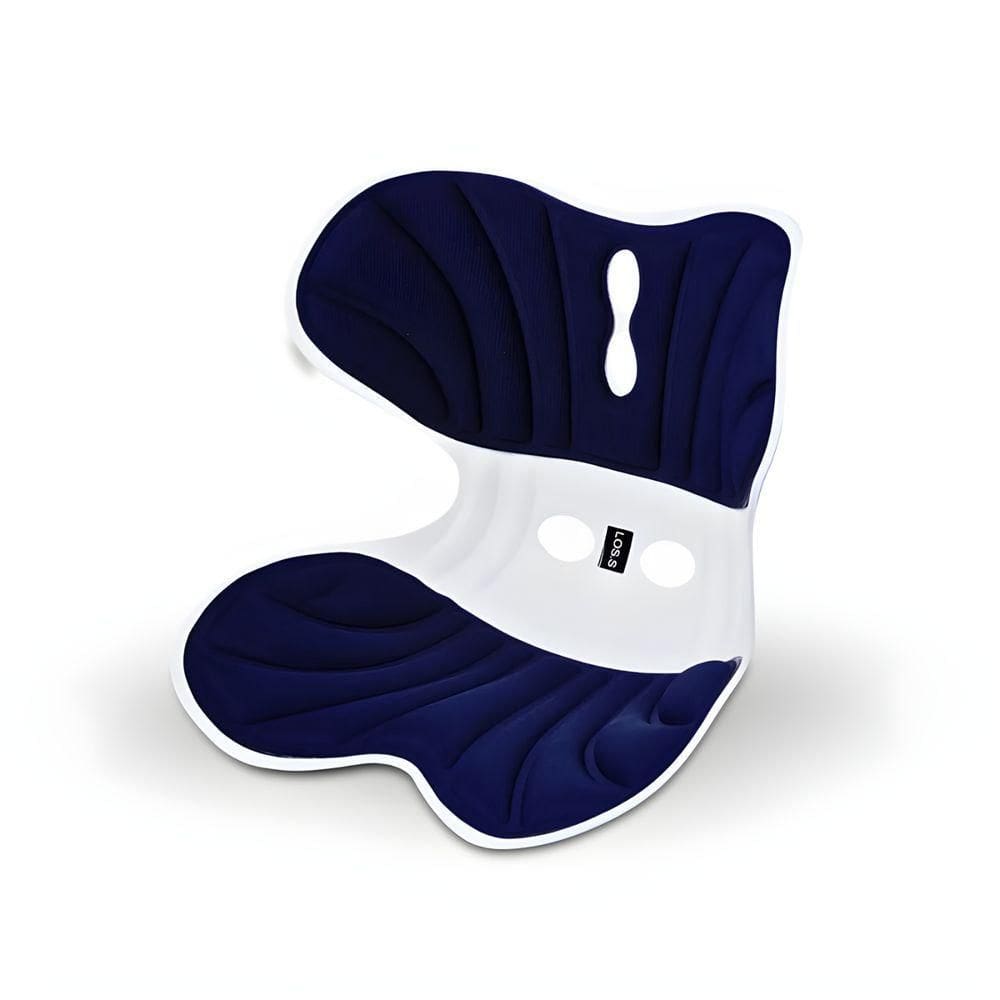 Almofada De Apoio Lombar Cadeira Correção De Coluna Gg Azul