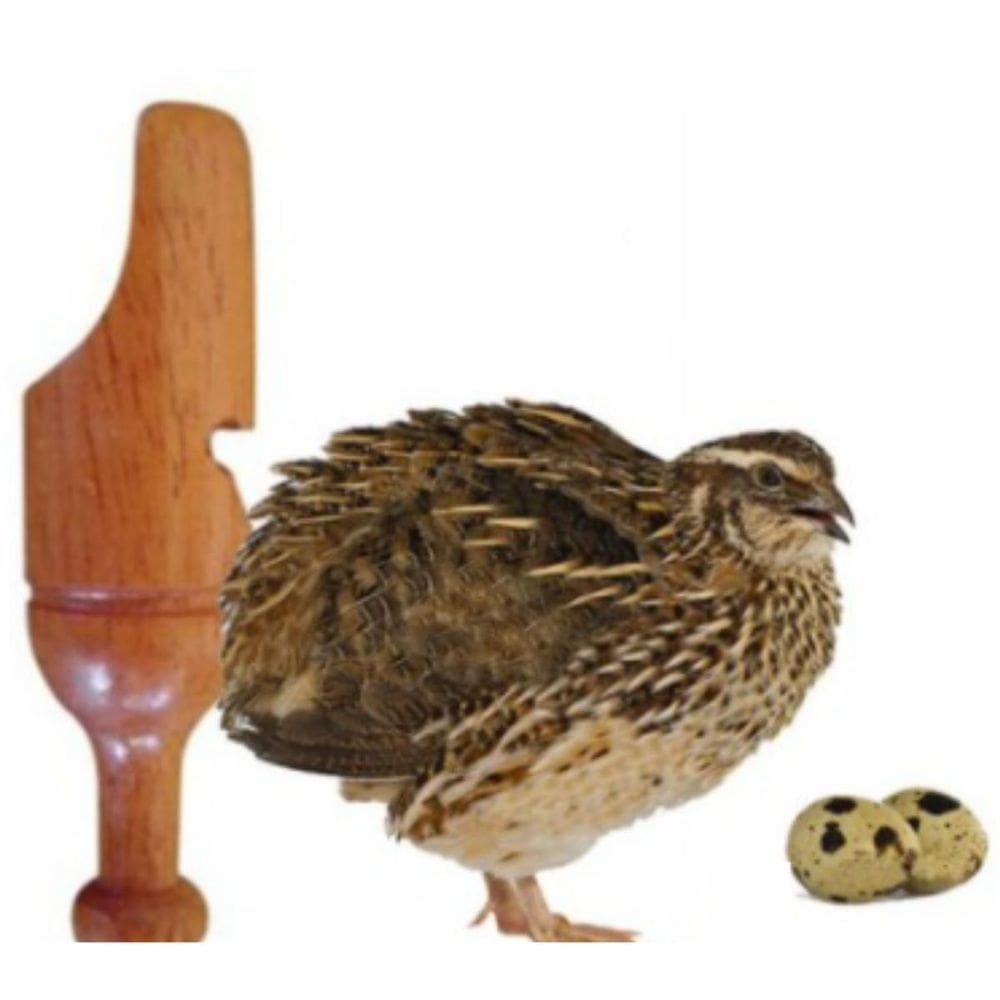 Apito Pio De Madeira Codorna 28 Apito